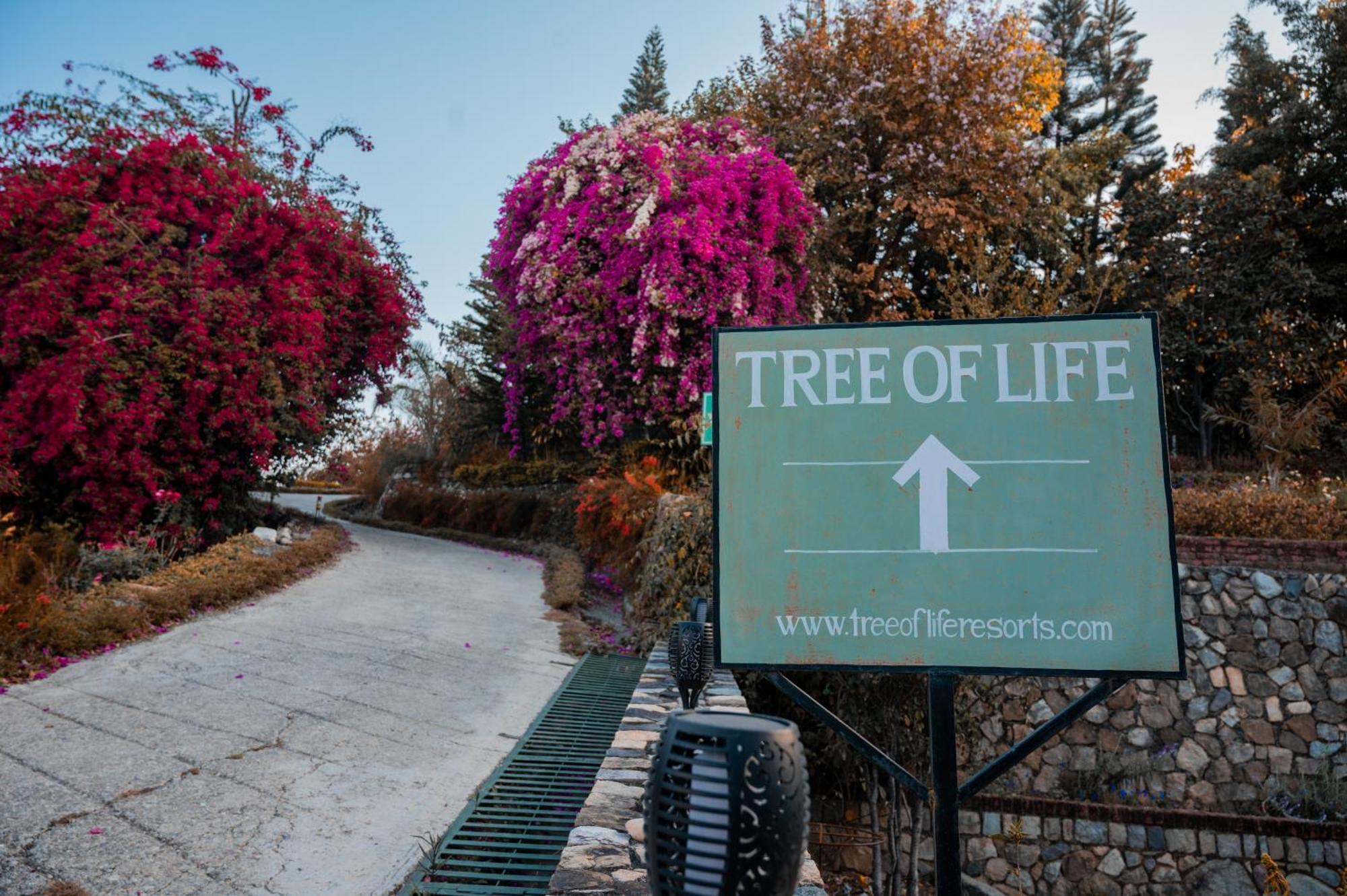 Tree Of Life Resort Dehradun Foothills Екстериор снимка